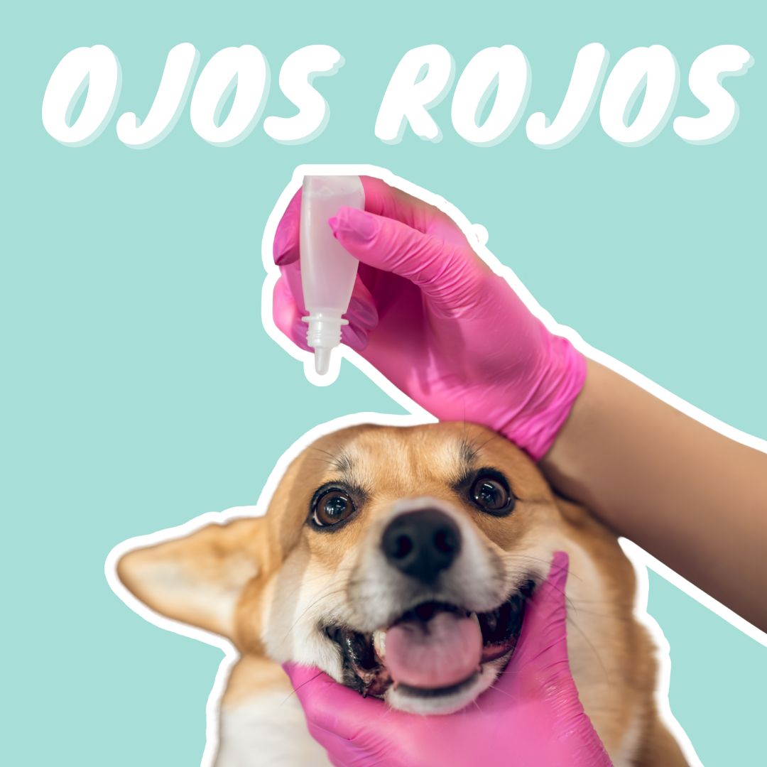 1492 | Vestido Marta - Verde